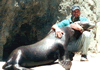 Brian Gisi training California sea lion